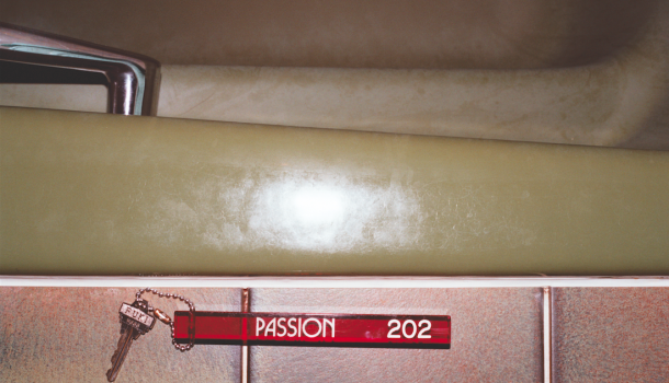 New Exhibition: Laura Lewis – Passion 202 202